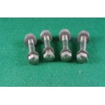 clip-on  screws (small head) and nuts (set of 4)