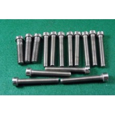  primary chaincase screws Goldie B31set of 15