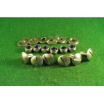 6  slot head screws for front guard +nyloc nuts
